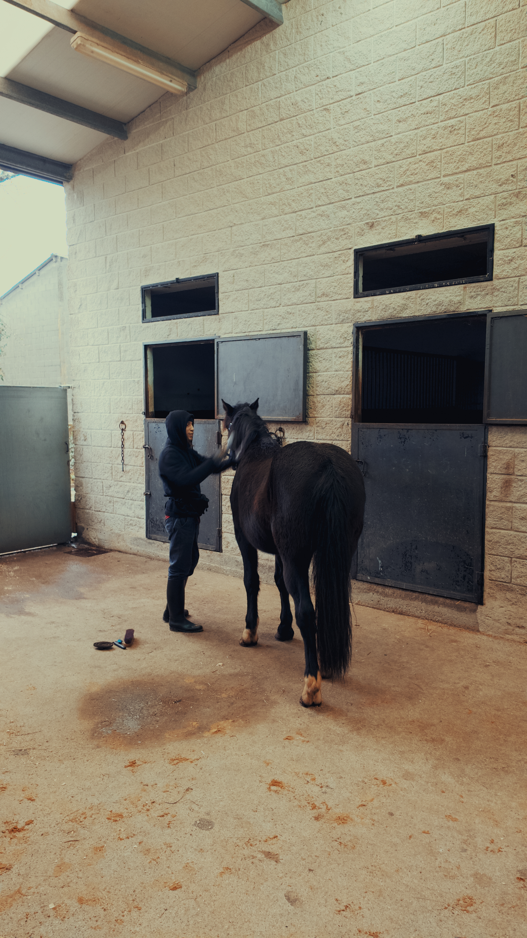 Instalaciones de Pupilaje de Lujo